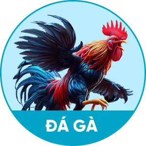 đá gà pu88